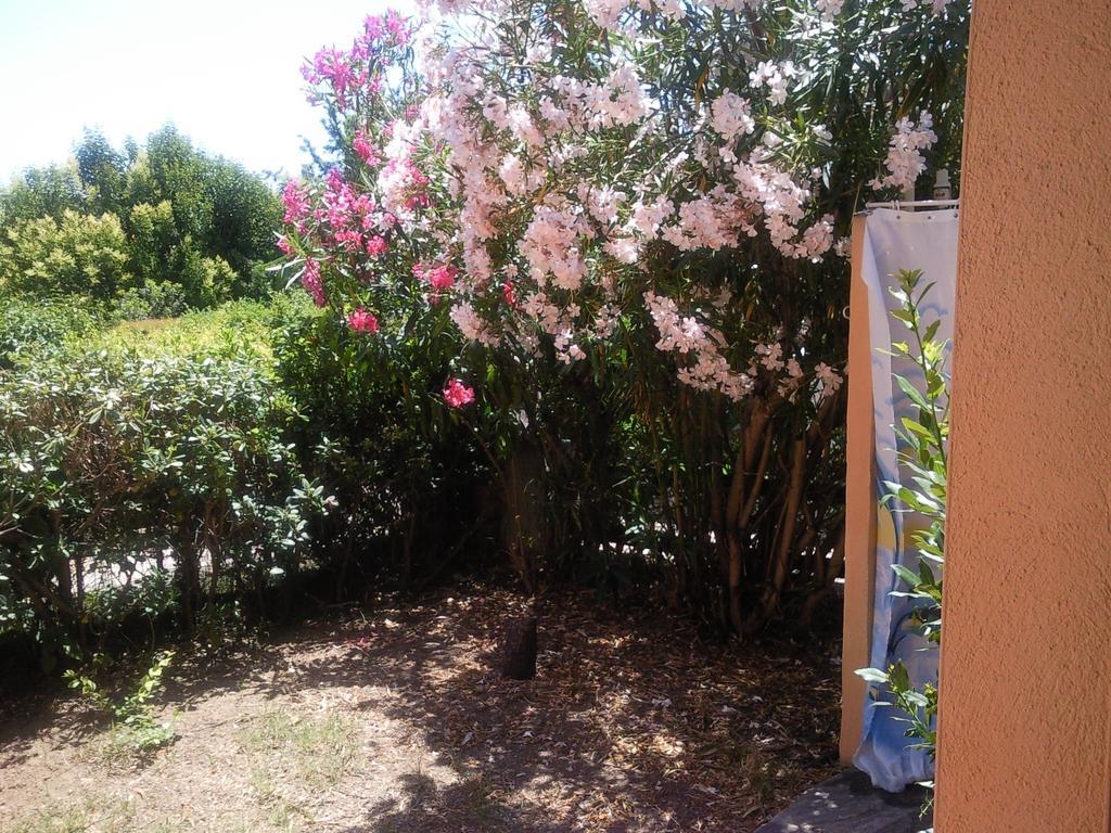 Monolocale San Teodoro Leilighet Rom bilde